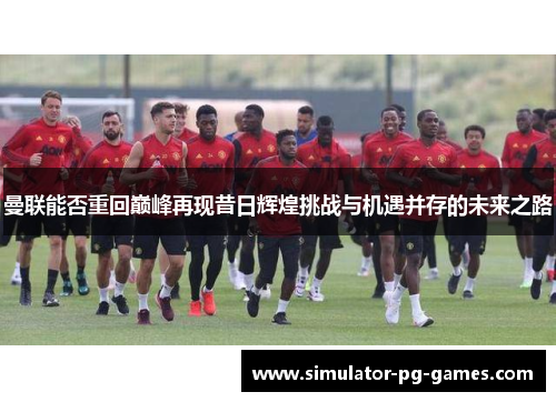 曼联能否重回巅峰再现昔日辉煌挑战与机遇并存的未来之路